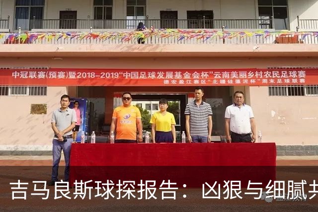 吉马良斯球探报告：凶狠与细腻共存，阿森纳这7500万花的太值