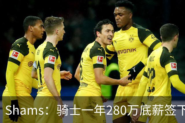 Shams：骑士一年280万底薪签下31岁克罗地亚前锋海佐尼亚 曾效力NBA五年后重返
